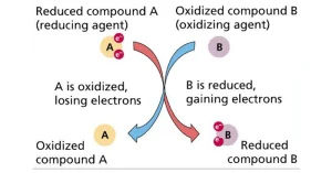 نحوه عملکرد و کاربرد orp در تصفیه فاضلاب